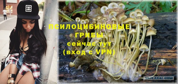 2c-b Богородицк