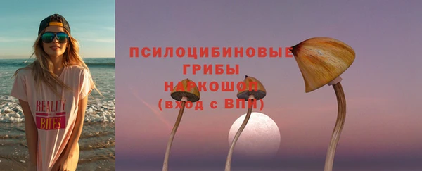 2c-b Богородицк
