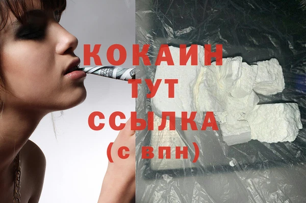 2c-b Богородицк