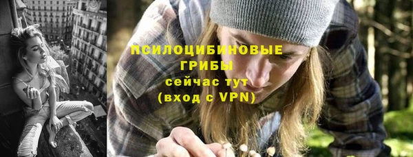 2c-b Богородицк
